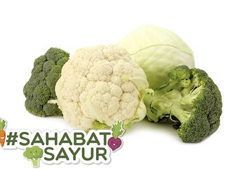 Makan Brokoli Setiap Hari, Ini Manfaat yang Didapatkan #SahabatSayur, Dari Ujung Kepala hingga Ujung Kaki!