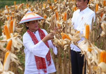 Nostalgia Masa Muda, Rambut Panjang Iriana Berhasil Buat Jokowi Terpesona dan Jatuh Cinta