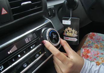 AC Mobil Bikin Kulit Wajah Kering dan Kusam, Atasi Pakai Scrub Alpukat