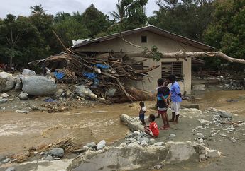 Pohon Besar Ikut Terbawa Banjir Bandang Sentani, Apakah Ada Hutan yang Gundul di Hulu?