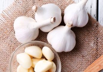 Siapa Bilang Antibiotik Cuma Ada dalam Obat? Bumbu Dapur Ini Bisa Jadi Solusi Antibiotik Alami!