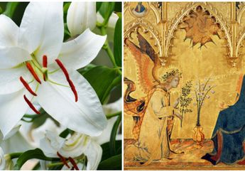 Paskah 2019: Asal Usul Easter Lily, Bunga Bakung yang Jadi Simbol Kebangkitan Yesus Kristus di Perayaan Paskah