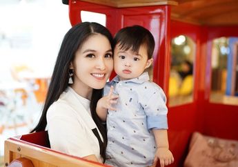Video Menggemaskan Raphael Moeis Merengek Minta Susu, Sandra Dewi Malah Balas Mengejeknya Sambil Tertawa!