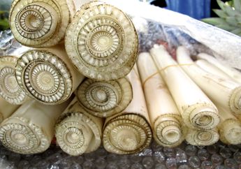 Enggak Perlu Ketergantungan Obat, Batang Pisang Bisa Jadi Obat Mujarab untuk Kolesterol! Dijamin Ampuh
