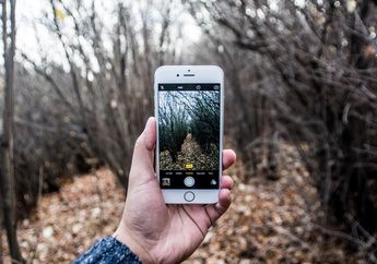 Foto Hasil Jepretan Kamera iPhone 6 Jadi Pemenang Kontes Fotografi