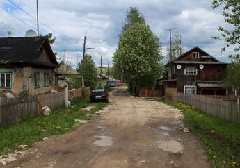 6 Alasan Rumah dengan Pohon di Halamannya Kurang Layak Untuk Dibeli
