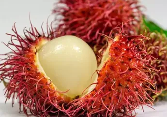Bisa Menurunkan Berat Badan & Melawan Kanker, Kepoin 6 Manfaat Rambutan Buat Kesehatan!