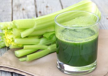 Mulai Sekarang Rutinlah Minum Jus Seledri Tiap Pagi! Manfaatnya Luar Biasa Untuk Tubuh!