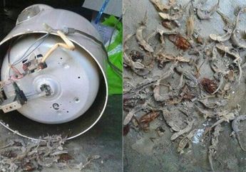 Nasi di Rumahnya Cepat Basi, Pria Ini Kaget Saat Membongkar Rice Cooker dan Temukan Penyebabnya