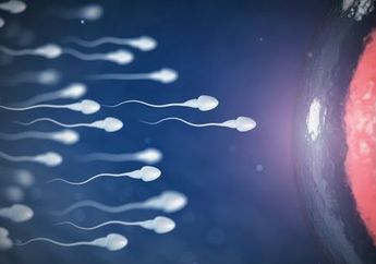 Ingin Hamil Anak Perempuan Atau Laki-laki? Ternyata Bisa Diatur Saat Sebelum Berhubungan Intim Loh!