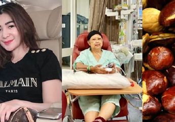 Berita Terpopuler Hari Ini, Dari Erin Taulany Sempat Update Makan Hingga Jengkol Bisa Selamatkan Nyawa Ani Yudhoyono