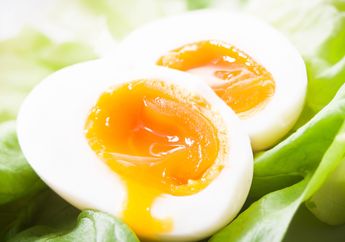 Pangkas Berat 10 Kg dalam 2 Minggu dengan Diet Telur Rebus, Yuk! Begini Menu Sehatnya!