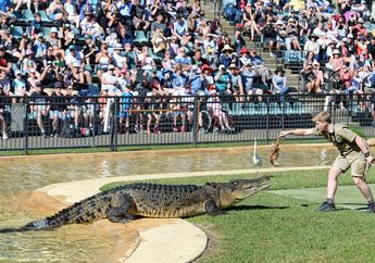 Ingat Steve Irwin yang Meninggal Tertusuk Ikan Pari? Ini 10 Potret Putranya yang Juga Menantang Maut Seperti Ayahnya
