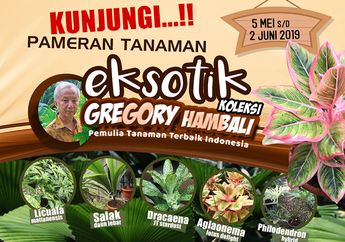 Liburan Ramadhan di Mekarsari dengan Kunjungi Pameran Tanaman Hias Eksotik, Koleksi dan Karya Greg Hambali