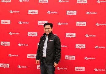 Indonesia Berpeluang Lakukan Lompatan Modernisasi Infrastruktur TI