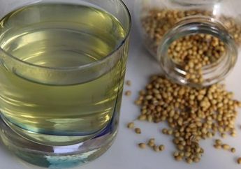 Jaga Kesehatan Saat Pandemi Covid-19, Ini 7 Minuman Sehat yang Bisa Kita Buat di Rumah!