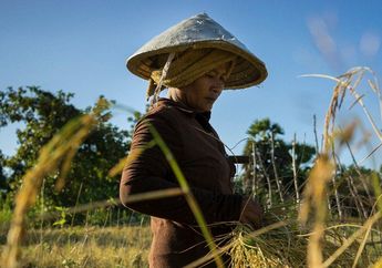 Peluncuran Pangan Bijak Nusantara untuk Ketahanan Pangan dan Kesejahteraan Masyarakat