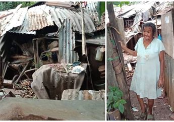 Kisah Pilu Nenek Noro, Tinggal Sebatang Kara di Rumah Reyot, Hampir Ambruk dan Penuh Tumpukan Seng Bekas