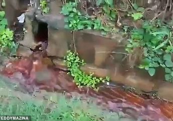 Darah Mengalir dari Rumah Kosong yang Sudah Lama Ditinggalkan, Terungkap Sejarahnya yang Mengerikan!