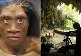 Peneliti Mulai Mengungkap Misteri Manusia Hobit di Flores Berkat Tikus
