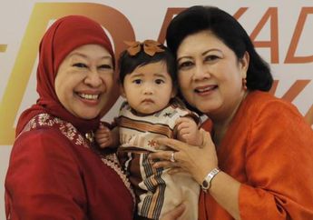 Kanker Bisa Disebabkan Oleh Faktor Keturunan, Ani Yudhoyono dan Besan Sama-sama Penyintas Kanker, Bagaimana dengan Keturunan Mereka?
