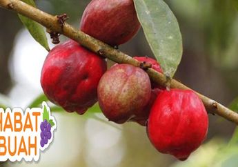 Sering Disebut Buah Simalakama, #SahabatBuah Harus Tahu Kalau Mahkota Dewa Bisa Cegah Efek Kemoterapi!