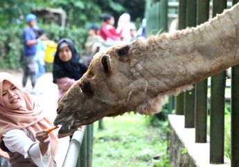 Rekaman Visual Kemeriahan Tempat Wisata Sewaktu Libur Lebaran 2019