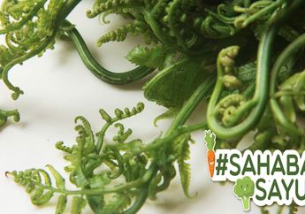 Renggut Nyawa Oon Project Pop sampai Ayah Dewi Perssik, #SahabatSayur Wajib Tahu Manfaat Daun Pakis Untuk Diabetes