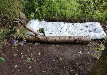 Usai Antar Anaknya, Seorang Ibu Terkejut Temukan Tempat Prostitusi Terselubung di Tengah Hutan Samping Sekolah SD Anaknya