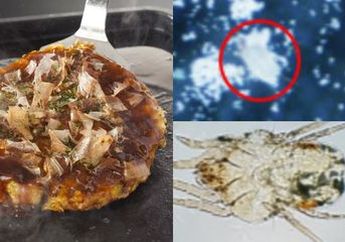 Seorang Wanita Sekarat Usai Makan Okonomiyaki Buatannya Sendiri, Tepung Terigu yang Sudah Lama Jadi Penyebabnya