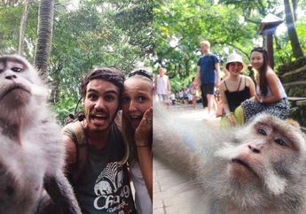 Terungkap! Foto Selfie Wisatawan Bersama Kera di Bali yang Viral, Ternyata Ini Asal-usulnya yang Tak Terduga