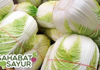 Selain Enak, Ternyata Sawi Putih Bisa Jadi Obat Murah untuk 4 Penyakit Ini! #SahabatSayur Harus Tahu!