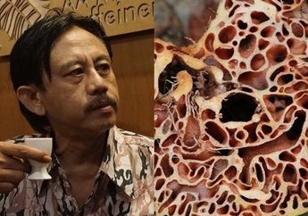 Dihargai Rp 60 Ribu Per Kantong Plastik, Inilah Khasiat Sarang Semut yang Selamatkan Epy Kusnandar dari Vonis Kematian Akibat Kanker Otak