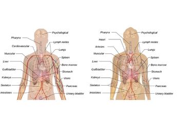 Pemerintah Tiongkok Disebut Bunuh Para Narapidana di Negaranya untuk Diambil Organ Tubuhnya