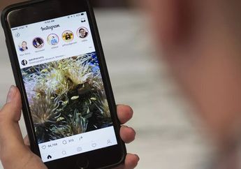 Mau Stalking Kita di Instagram Enggak Ketahuan? Pakai 3 Cara Ampuh Ini. Pasti Aman!