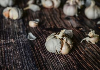 Bawang Putih Bakar Dianggap Mampu Mencegah Kanker dan Atasi Gejala Maag