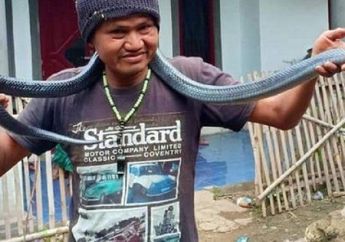 Jana Ditemukan Tewas Tergeletak Usai Dililit Ular Sanca Peliharaannya, Ternyata Inilah Penyebab Ular Sanca Tak Bisa Lilit Manusia Hingga Hancur!