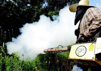 Agar Efektif Cegah DBD, Lakukan Fogging dengan Tepat, Begini Caranya!
