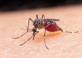 Laporan Terbaru Penelitian Malaria Ini Bikin Kita Makin Cemas Pada Kondisi Bumi yang Makin Berubah. Akankah Kita Harus Pindah Ke Mars?