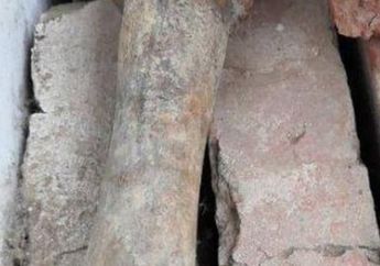 Beli Alat Tukang Bekas yang Disangka Palu, Ternyata Pria Ini Temukan Geranat