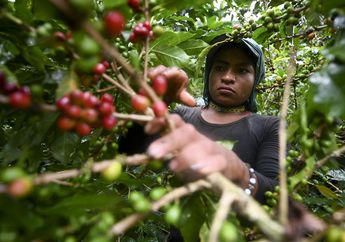 Lihat Potret Kegigihan Pekerja Kopi Transgender yang Berguna Buat Masyarakat