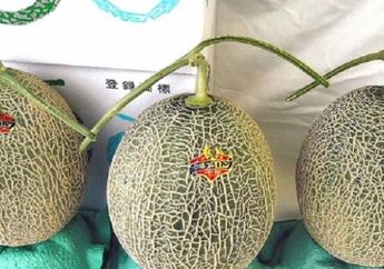 Wow, Harga Satu Buah Melon di Jepang Ini Sampai Bikin Melongo!
