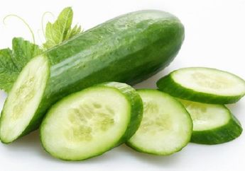 Jangan Disepelekan, Orang dengan Kondisi Ini Betul-betul Tidak Boleh Makan Timun! Bisa Fatal Akibatnya