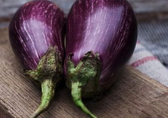 Ajaib! Terong Bukan Hanya Enak Dibalado, Cobalah Minum Air Rebusan Terong Secara Rutin dan Rasakan Khasiat Tak Terduga Ini