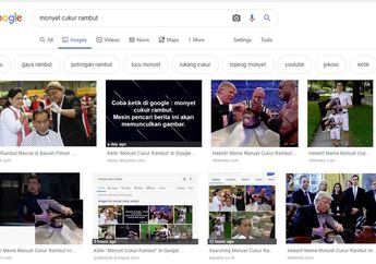 Mengapa Saat Ketik "Monyet Cukur Rambut" di Google Muncul Gambar Jokowi? Ini Jawabannya