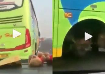 Viral, Video Bus Melaju Tanpa Roda di Jalanan! Kok Bisa?