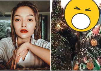 Viral Video Siti Badriah Disosor Fans Saat Foto Bersama, Warganet Langsung Beri Kecaman