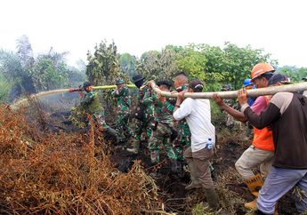 Pemadaman Kebakaran Hutan dan Lahan di Aceh Tak Cukup Seminggu