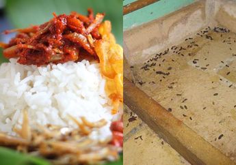 Waspada! Restoran Terkenal Ini Ditutup Karena Dinas Kesehatan Temukan Kotoran Tikus dan Cicak Mati di Dapur