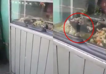 Viralkan Video Tikus di Etalase Warteg Sambil Tertawa, Orang yang Merekam Justru Dicurigai Warganet: 'Jangan-Jangan Sengaja!'